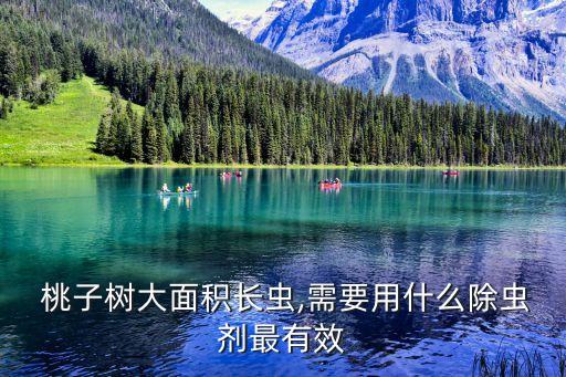 桃子用什么藥打農藥好吃,桃子病蟲害用什么農藥