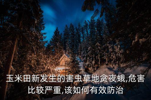 什么農(nóng)藥殺貪葉蛾