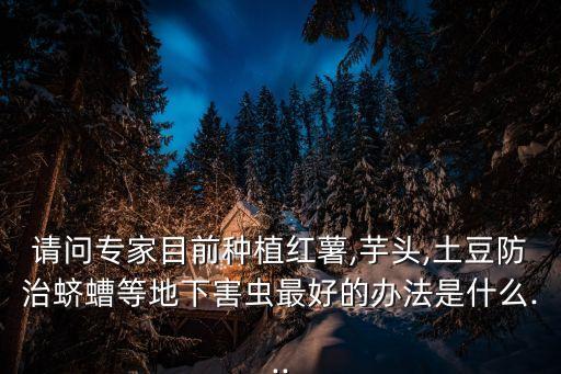 番薯葉打什么農(nóng)藥,像番薯葉的菜叫什么