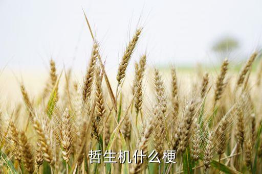 農藥生許是什么意思,哲生農藥機是什么