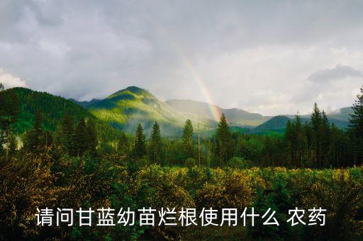 請問甘藍(lán)幼苗爛根使用什么 農(nóng)藥