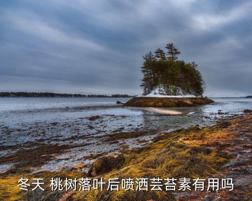 冬桃樹打什么農藥,桃樹害蟲用什么農藥