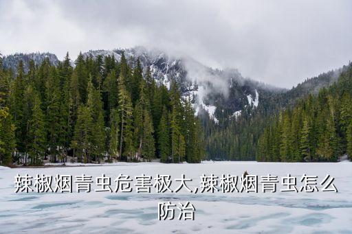 用什么農藥治老憨煙,3911農藥主要治什么