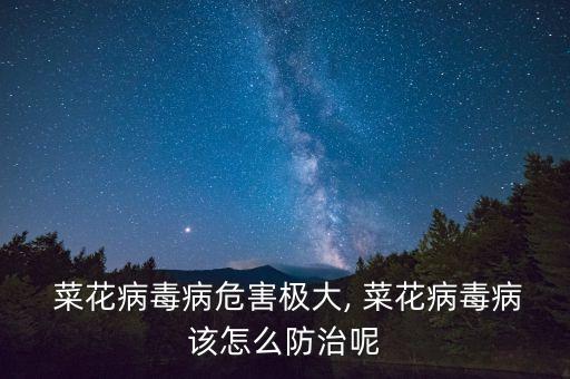 菜花病毒病危害極大, 菜花病毒病該怎么防治呢