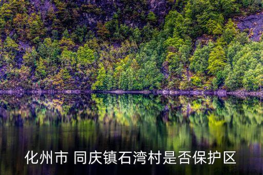 化州市 同慶鎮石灣村是否保護區