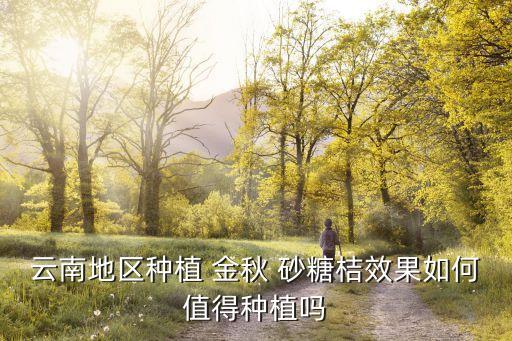 金秋砂糖橘用什么農藥好,砂糖橘打什么農藥