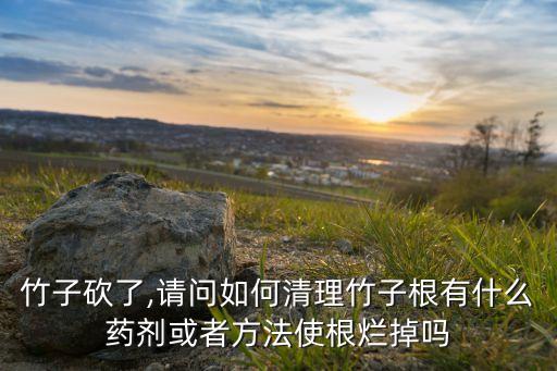 竹子砍了,請問如何清理竹子根有什么藥劑或者方法使根爛掉嗎