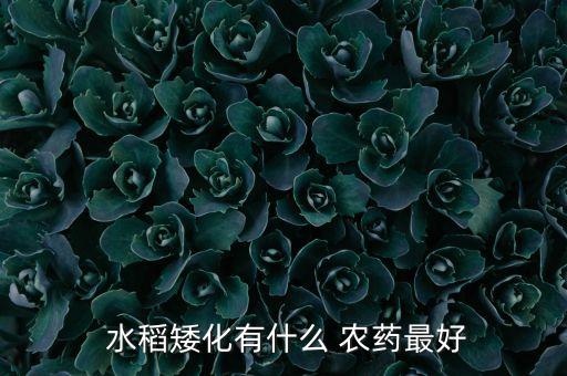 水稻能生產(chǎn)什么農(nóng)藥,水稻農(nóng)藥什么時間打效果最好