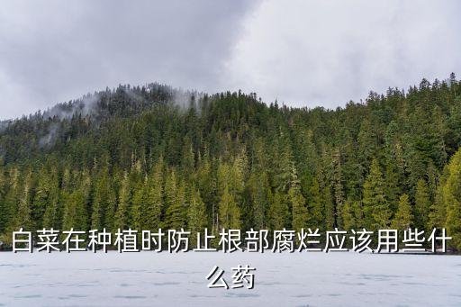 防爛苗用什么農(nóng)藥,什么農(nóng)藥能快速爛樹根