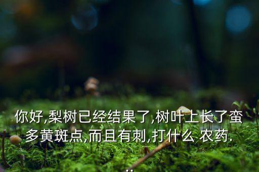你好,梨樹已經(jīng)結(jié)果了,樹葉上長了蠻多黃斑點,而且有刺,打什么 農(nóng)藥...