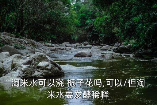 淘米水可以澆 梔子花嗎,可以/但淘米水要發(fā)酵稀釋