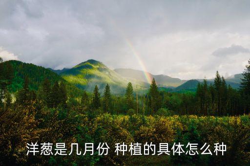 洋蔥種植什么時候打農藥,洋蔥怎樣種植視頻