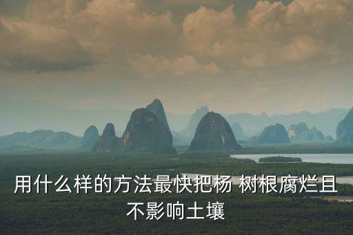 什么農藥能快速爛樹根死亡