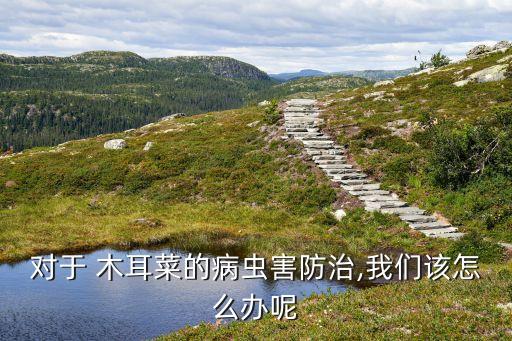 木耳用什么農(nóng)藥好,木耳打什么農(nóng)藥