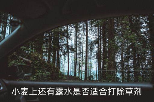 小麥上還有露水是否適合打除草劑