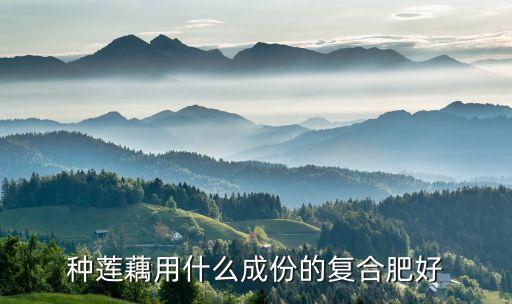 藕田用什么農藥最好使,果樹打什么農藥最好