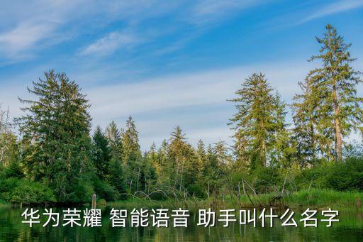 農(nóng)藥的智能助手是什么,打電話是智能助手接是什么回事