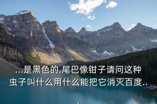 ...是黑色的,尾巴像鉗子請(qǐng)問(wèn)這種蟲(chóng)子叫什么用什么能把它消滅百度...