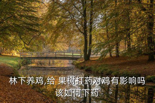 林下養(yǎng)雞,給 果樹打藥對雞有影響嗎該如何下藥