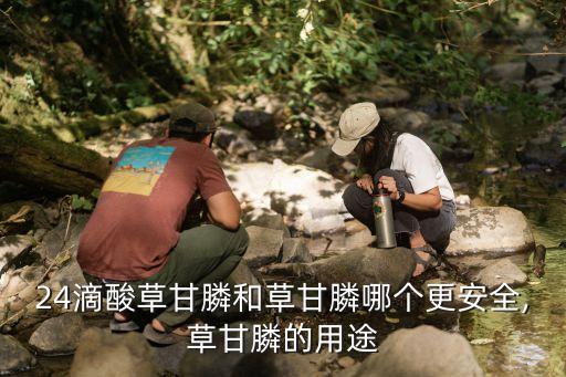 農藥24底是什么意思,農藥有效成分含量是什么意思