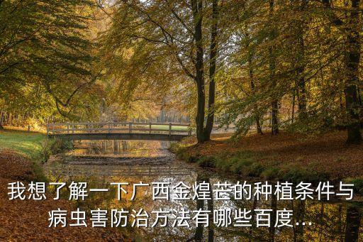 芒果噴什么農藥除蟲更好,除蟲農藥什么時間施好?