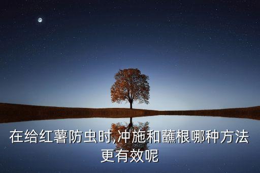 種番薯放什么農藥防長蟲,種土豆放什么農藥