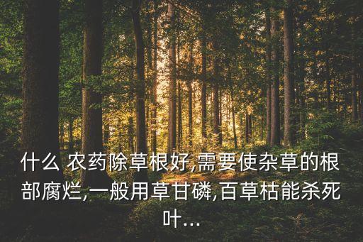 什么 農(nóng)藥除草根好,需要使雜草的根部腐爛,一般用草甘磷,百草枯能殺死葉...