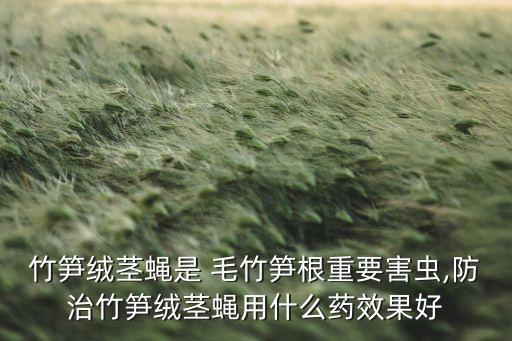 什么農(nóng)藥能毒死毛竹,毛竹注射用什么農(nóng)藥