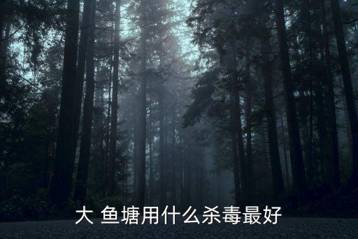 大 魚塘用什么殺毒最好