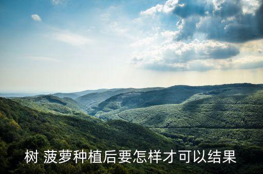 樹(shù) 菠蘿種植后要怎樣才可以結(jié)果