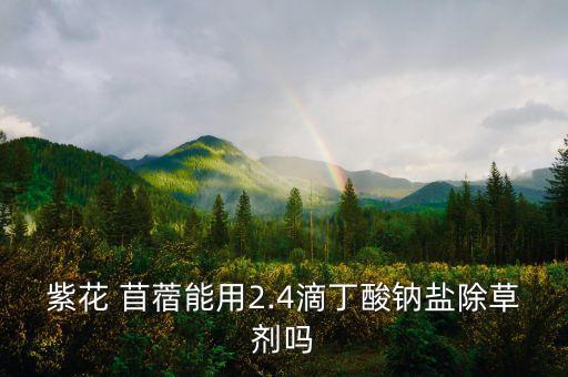 苜蓿用什么農藥去雜草,苜蓿草地里有雜草,用什么農藥好?