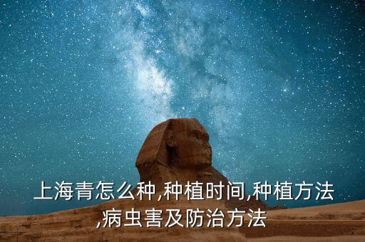 上海青怎么種,種植時間,種植方法,病蟲害及防治方法