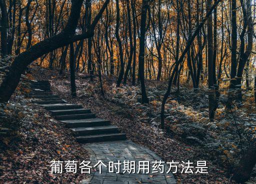 葡萄各個時期用藥方法是