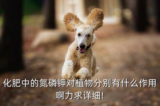 閃控農(nóng)藥起什么作用,農(nóng)藥公司起什么名字好