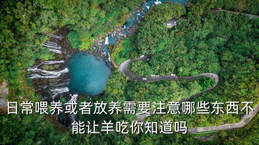 羊最怕什么農藥吃了必死,毒死羊的最好辦法