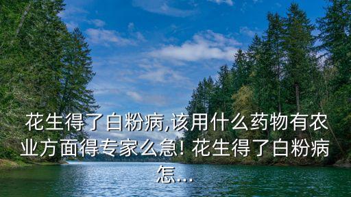花生得了白粉病,該用什么藥物有農(nóng)業(yè)方面得專家么急! 花生得了白粉病怎...