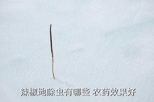 辣椒地除蟲有哪些 農藥效果好