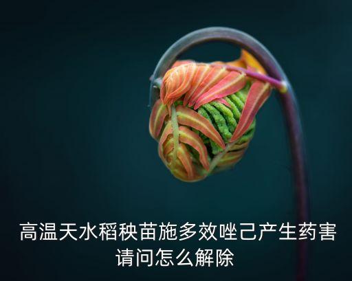 高溫天水稻秧苗施多效唑己產(chǎn)生藥害請問怎么解除