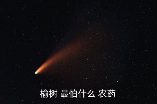 樹最怕什么樣農藥呀,廣玉蘭樹怕什么農藥