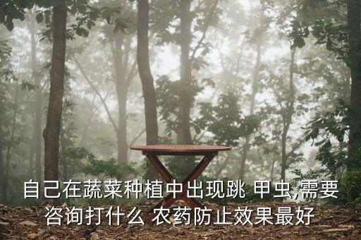 自己在蔬菜種植中出現(xiàn)跳 甲蟲(chóng),需要咨詢打什么 農(nóng)藥防止效果最好