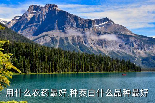 茭白用什么農(nóng)藥最好,種茭白什么品種最好