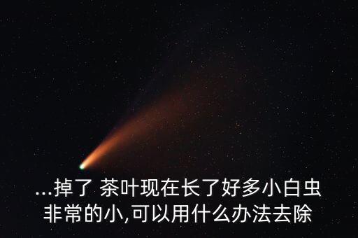 ...掉了 茶葉現在長了好多小白蟲非常的小,可以用什么辦法去除