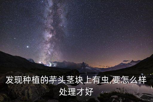 發現種植的芋頭莖塊上有蟲,要怎么樣處理才好