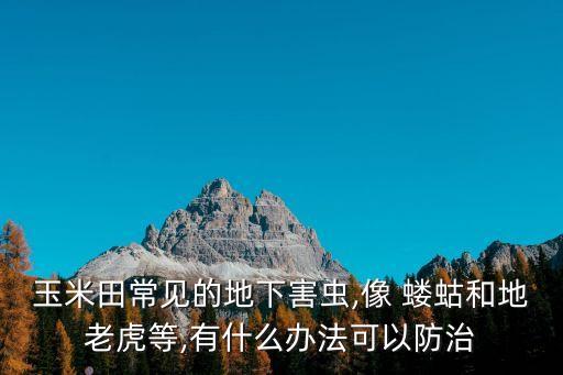 螻蛄用什么農藥好殺死,用什么最快殺死螻蛄