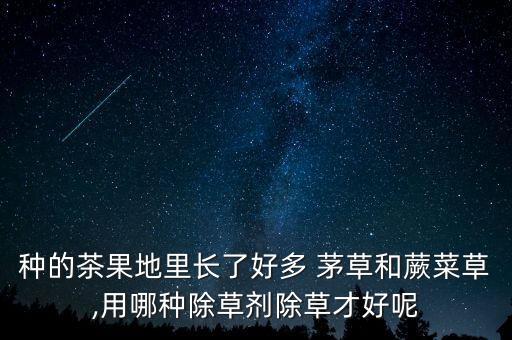 什么農藥能殺死茅草蟲呢,白茅草用什么辦法殺死