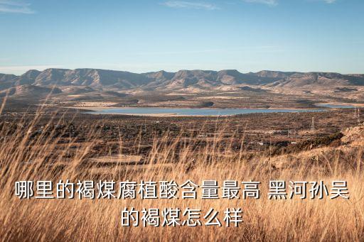 哪里的褐煤腐植酸含量最高 黑河孫吳的褐煤怎么樣