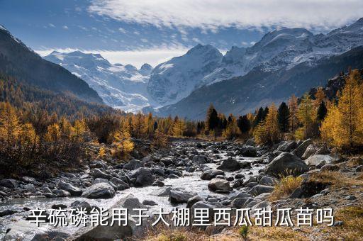 什么農藥容易對瓜苗有藥害