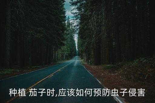 茄子樹噴什么農藥能死,茄子一般打什么農藥