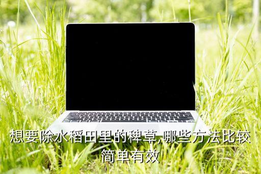 公稻子用什么農(nóng)藥,什么是公稻子