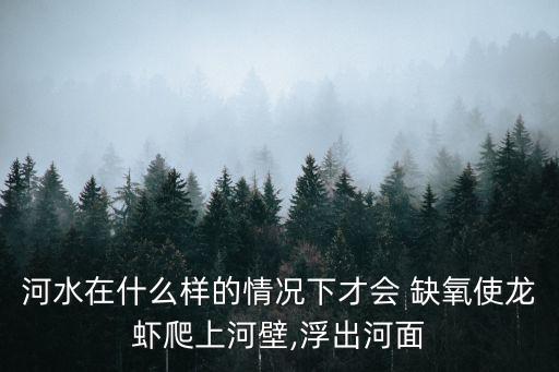 河水在什么樣的情況下才會 缺氧使龍蝦爬上河壁,浮出河面